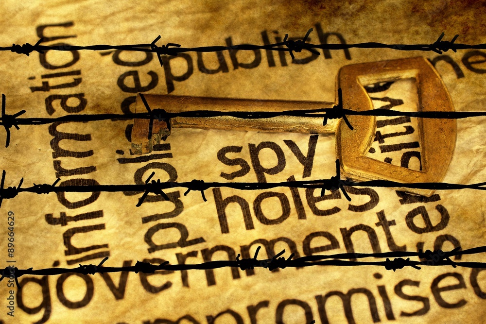 Publish spy key concept agains barbwire