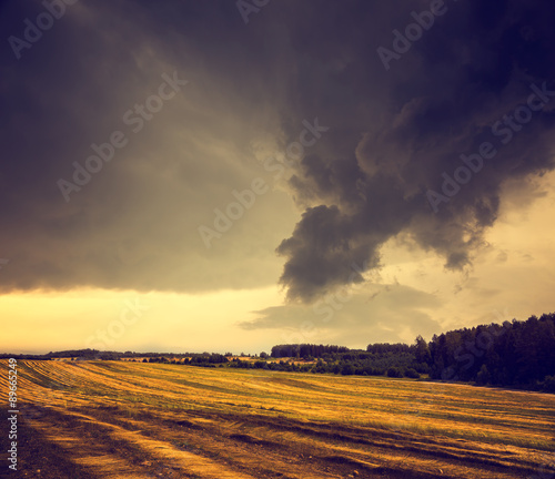 Dark Toned Landscape with Field and Gloomy Sky