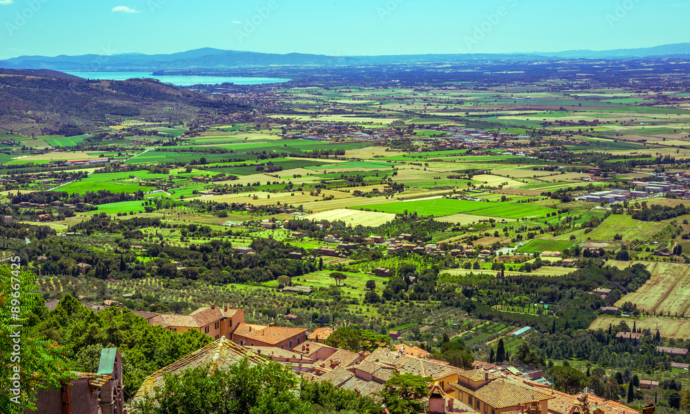 Green vineyards of Tuscany