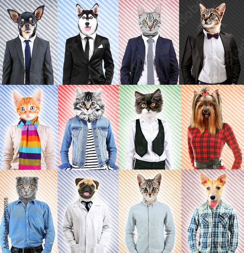 Series of people with anima...