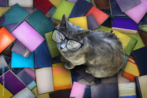 Cat with glasses and books