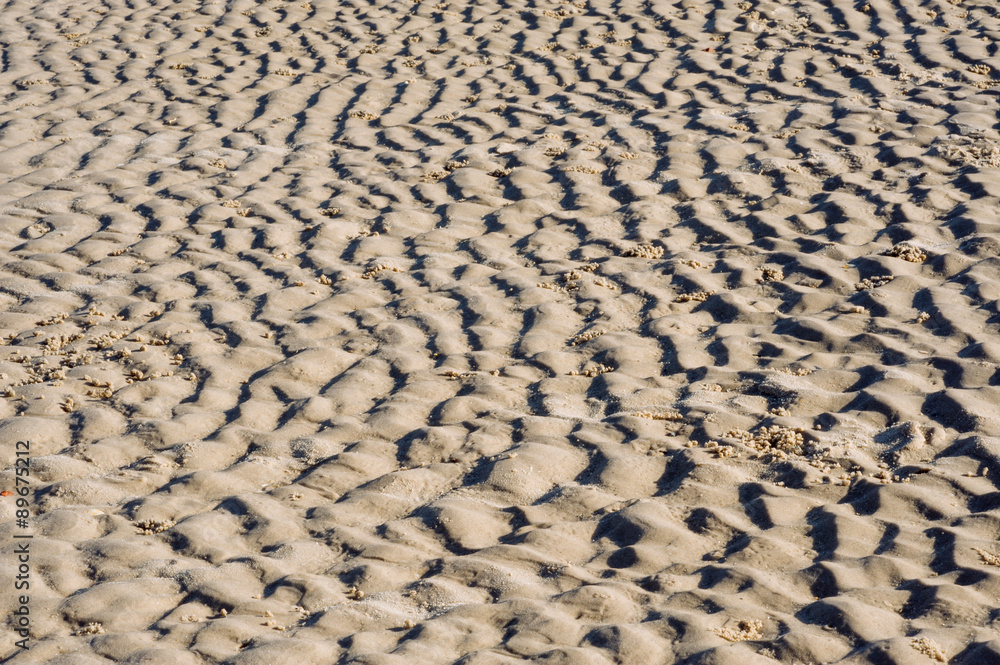 Fototapeta premium Pattern of sand wave