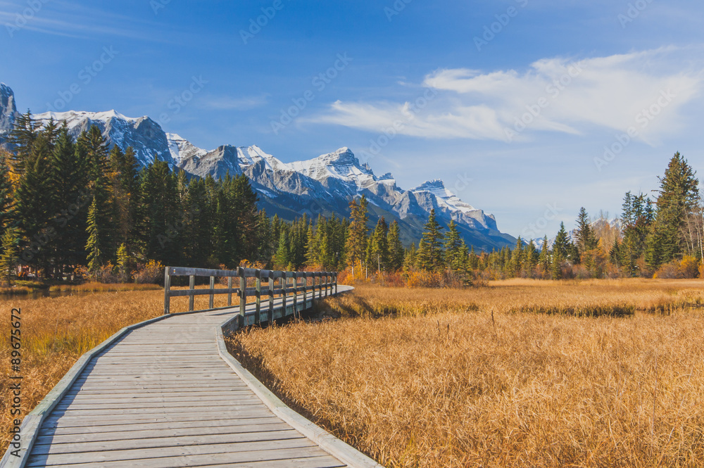 Fototapeta premium Autumn landscape of a boardwalk beside Policeman's Creek in Kananaskis