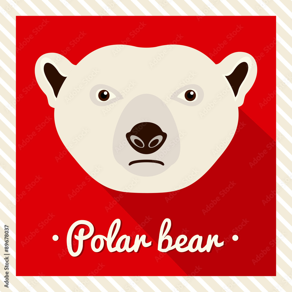 Vector portrait of a polar bear. Symmetrical portraits of animals. Vector  Illustration, greeting card, poster. Icon. Animal face. Font inscription.  Image of a bear's face. Stock Vector | Adobe Stock