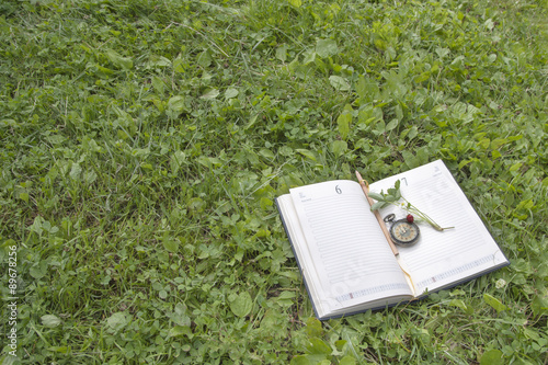  book, strawberries and clock lying on a green forest lawn unde