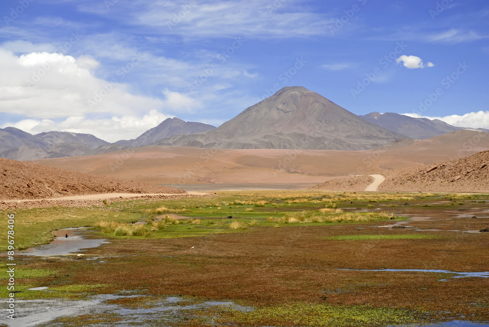 Remote, Barren volcanic landscape of the Atacama Desert, Chile