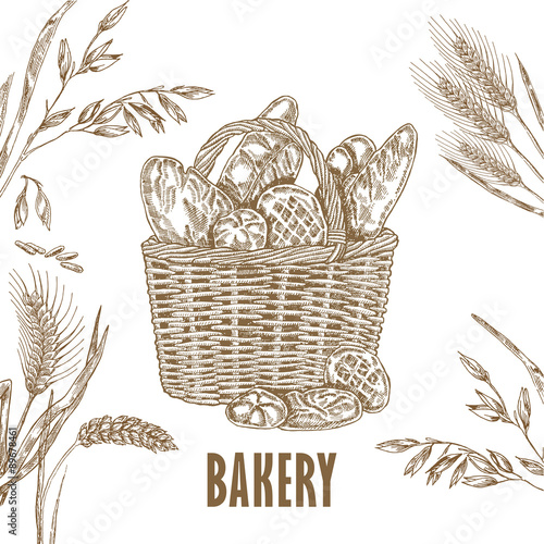 Hand dranw bread, oats and wheat. Vector