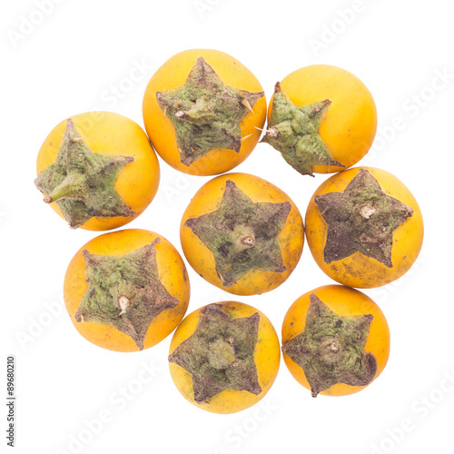 Yellow berried nightshade isolated on white.
