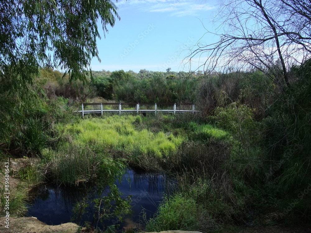 Yanchep National park, Western australia Yanchep National park, Western australia