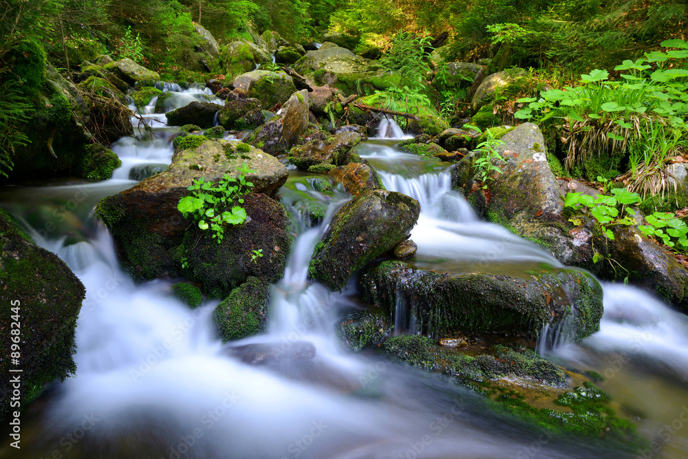 Fototapeta premium Mountain creek in the national park Sumava-Czech Republic