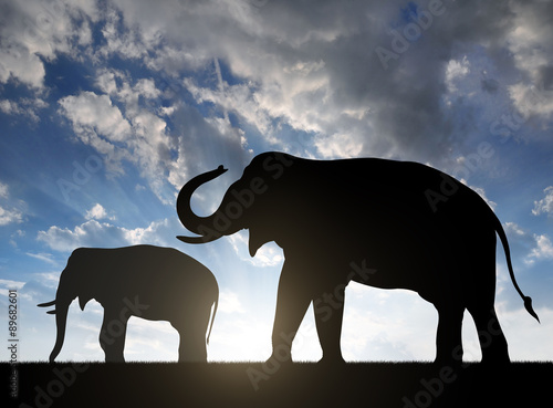 Photography Silhouette elephants in the sunset