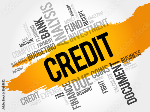 CREDIT word cloud, business concept