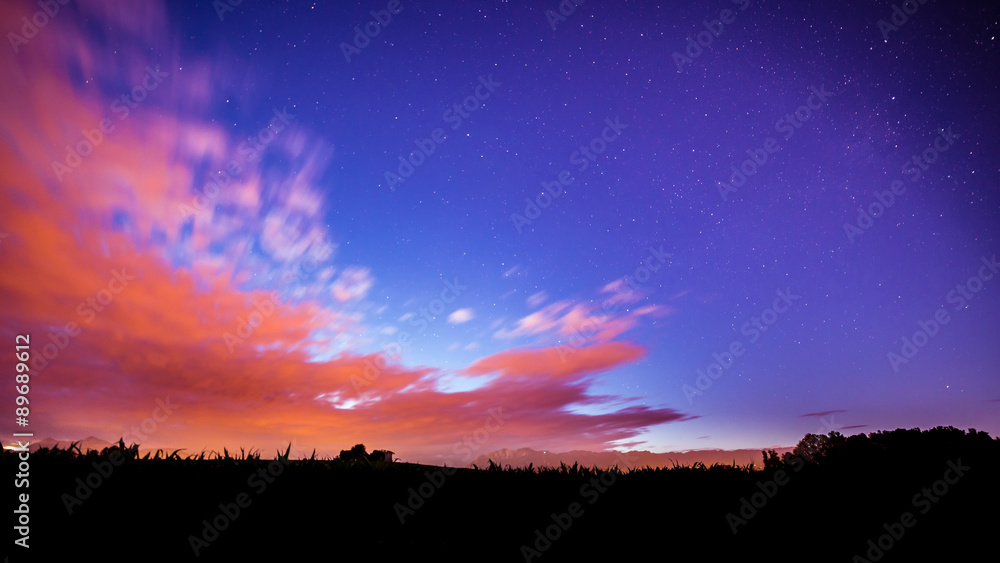 Fototapeta premium night in the fields