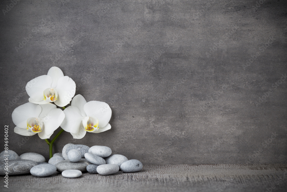 White orchid and spa stones on the grey background. White orchid and spa stones on the grey background.