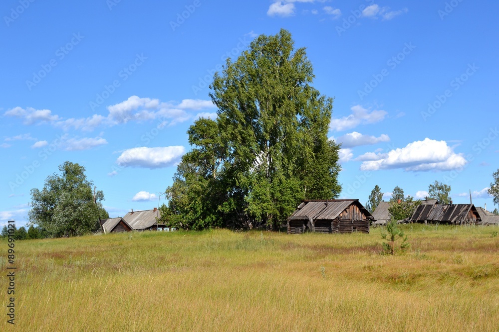 За околицей в деревне