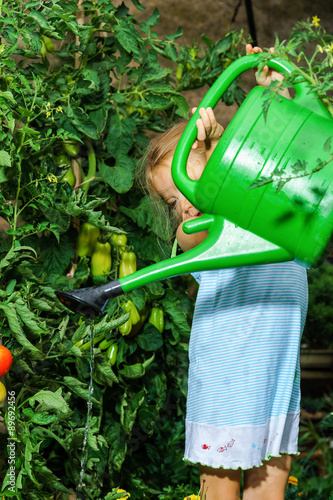 Cute little girl watering tomato and flowers in the backyard photo