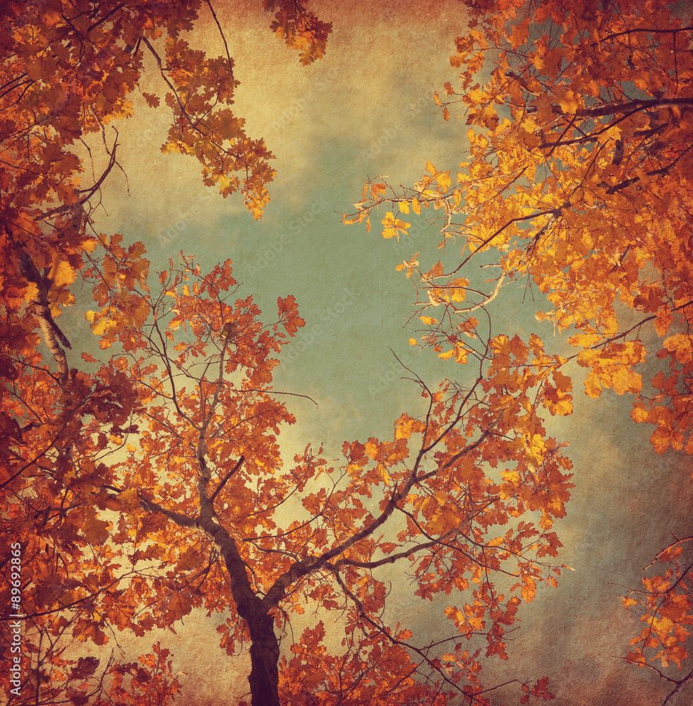 Autumn leaves of oak on the sky background.  Photo in retro style. Added paper texture. Toned image..