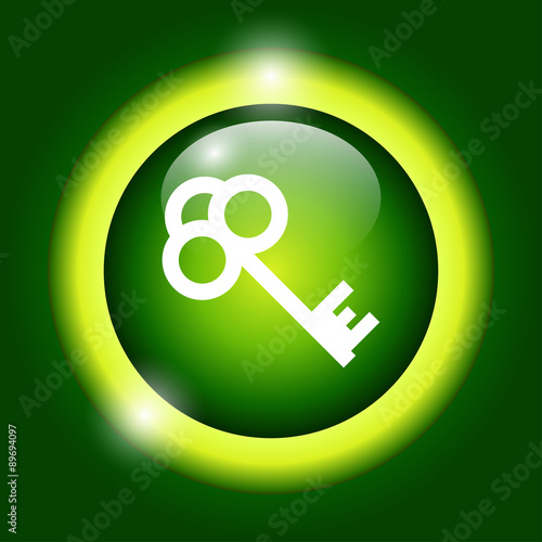 Key vector icon