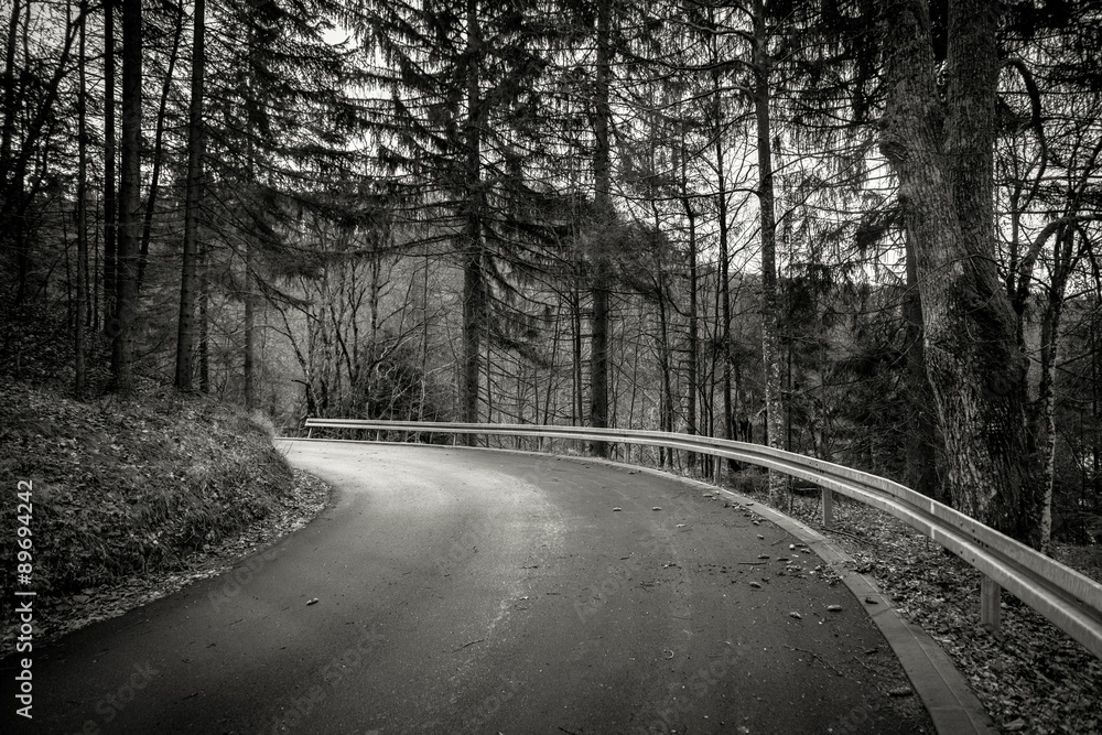 Obraz premium Road in autumn forest landscape