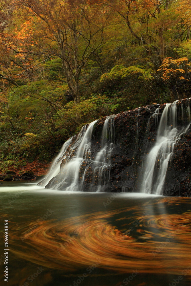 Fototapeta premium 岩手県花巻市 葛丸渓流 紅葉の一の滝