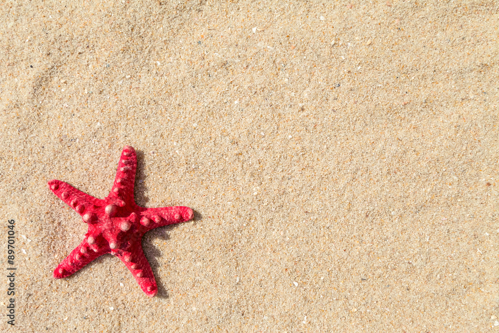 Starfish and sea shells with sand as background Starfish and sea shells with sand as background
