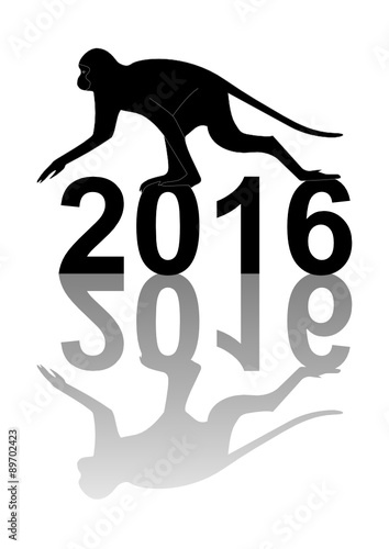 2016 - year of the monkey