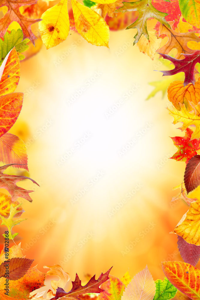 Obraz premium Aautumn frame with multi colored falling leaves 