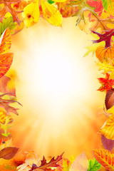 Aautumn frame with multi colored falling leaves 