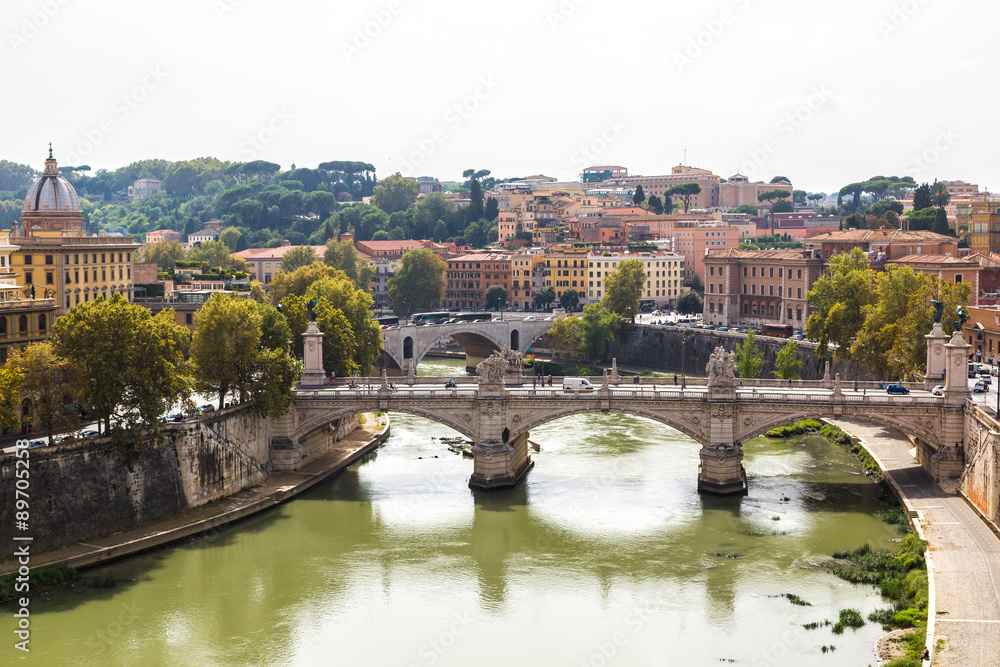 View above Rome and Tiber  in Rome