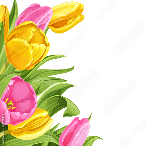 Fototapeta Naklejka Na Ścianę i Meble -  Background of pink and yellow tulips on white background