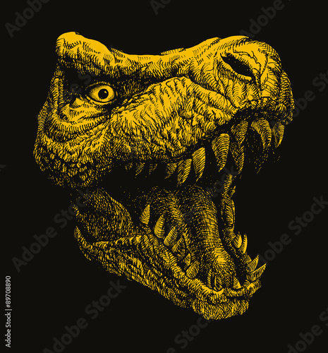 Trex. Hand drawn Vector illustration. 