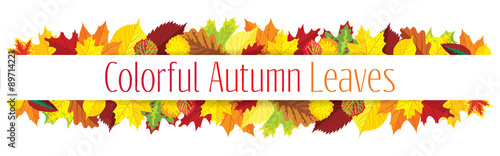 Colorful autumn leaves border