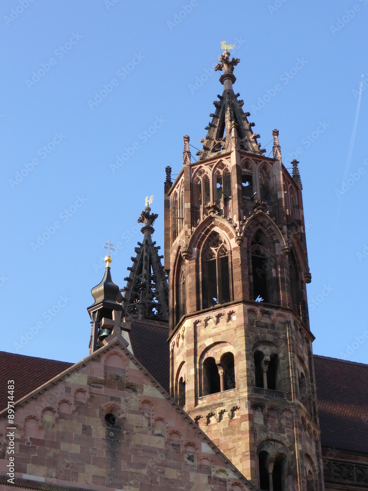 Münster von Freiburg