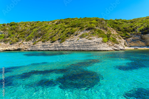 Crystal clear sea water in secluded bay near Bonifacio town  Corsica island  France