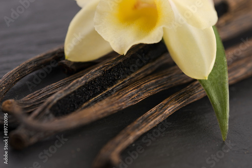 Vanilla pods photo