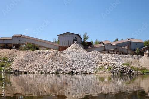 Limestone plant   photo