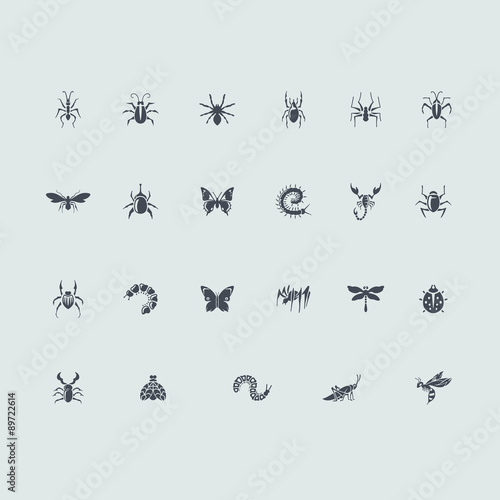 Set of insects icons © palau83