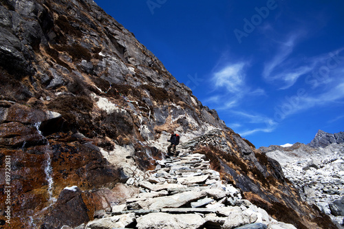 Road to Gokyo valley in Sagarmatha National Park  Nepal