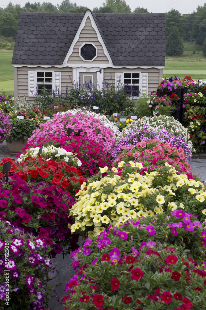 Beautiful Garden with Profusion of Flowers