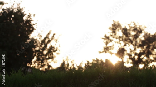 Levée de soleil en pleine nature