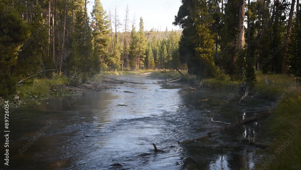 Upstream view of the Gibbon River in Yellowstone National park as bright sunlight begins to shine in from the gaps in the trees. The stream flows swiftly through a Lodgepole pine forest. Upstream view of the Gibbon River in Yellowstone National park as bright sunlight begins to shine in from the gaps in the trees. The stream flows swiftly through a Lodgepole pine forest.