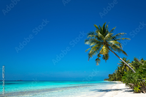 beautiful beach and tropical sea © gawriloff