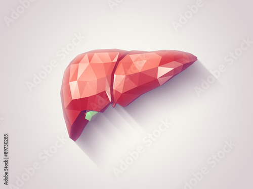 Liver faceted