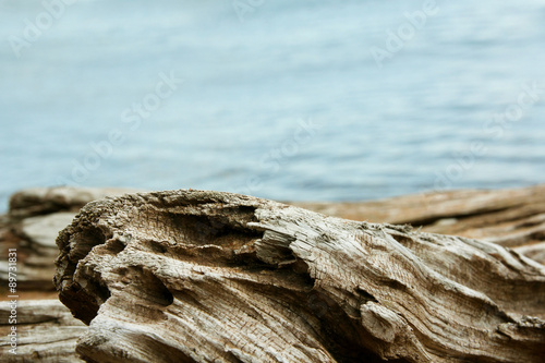 Twisted Driftwood with Lake Superior Background