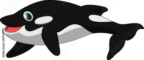 killer whale cartoon