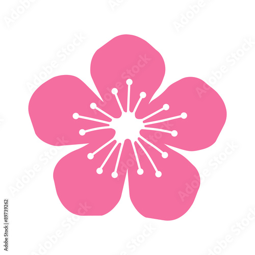 Peach or cherry blossom flower flat icon for apps and websites