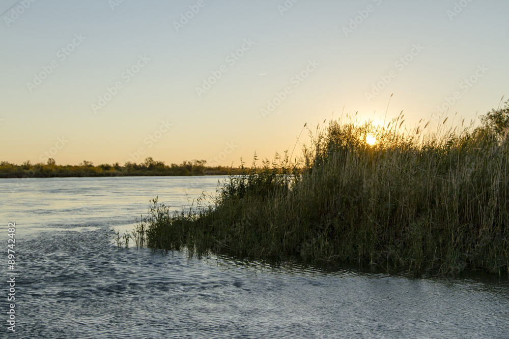 Dawn over the river