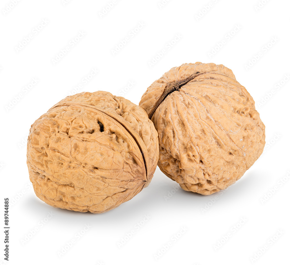 walnuts close-up isolated on a white background walnuts close-up isolated on a white background