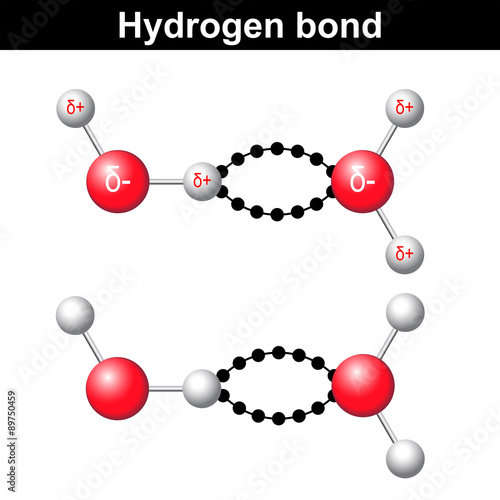 Hydrogen bond, chemical ionic interaction