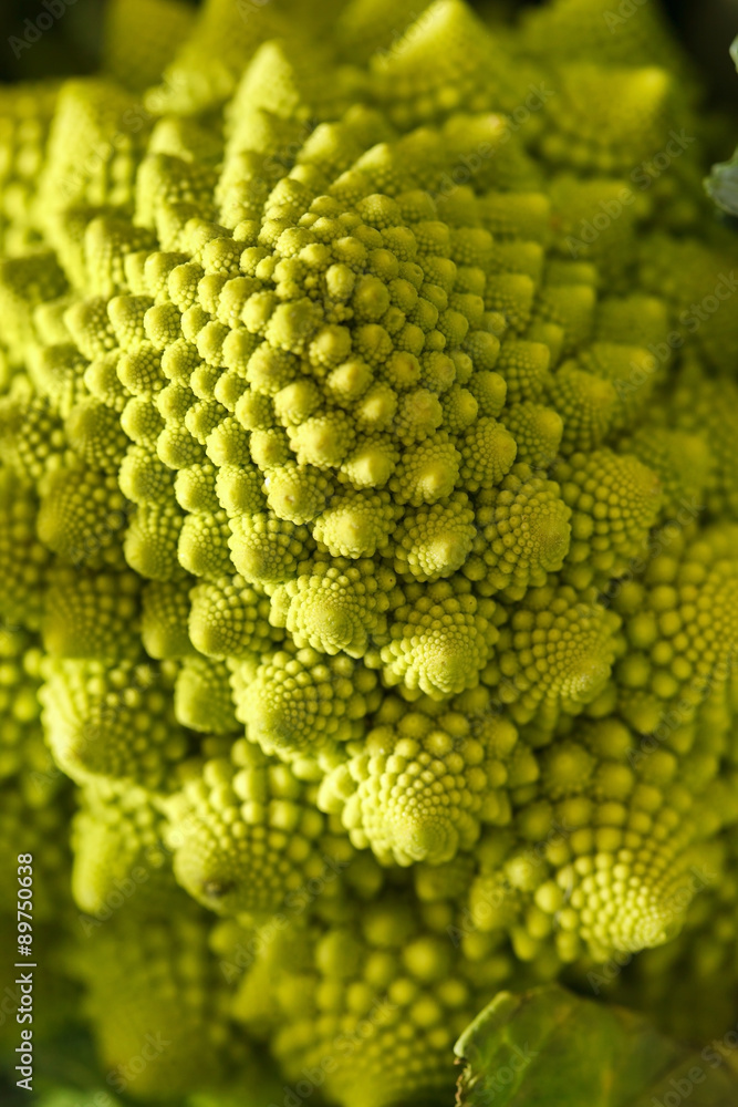 Romanesco broccoli, or Roman cauliflower Romanesco broccoli, or Roman cauliflower